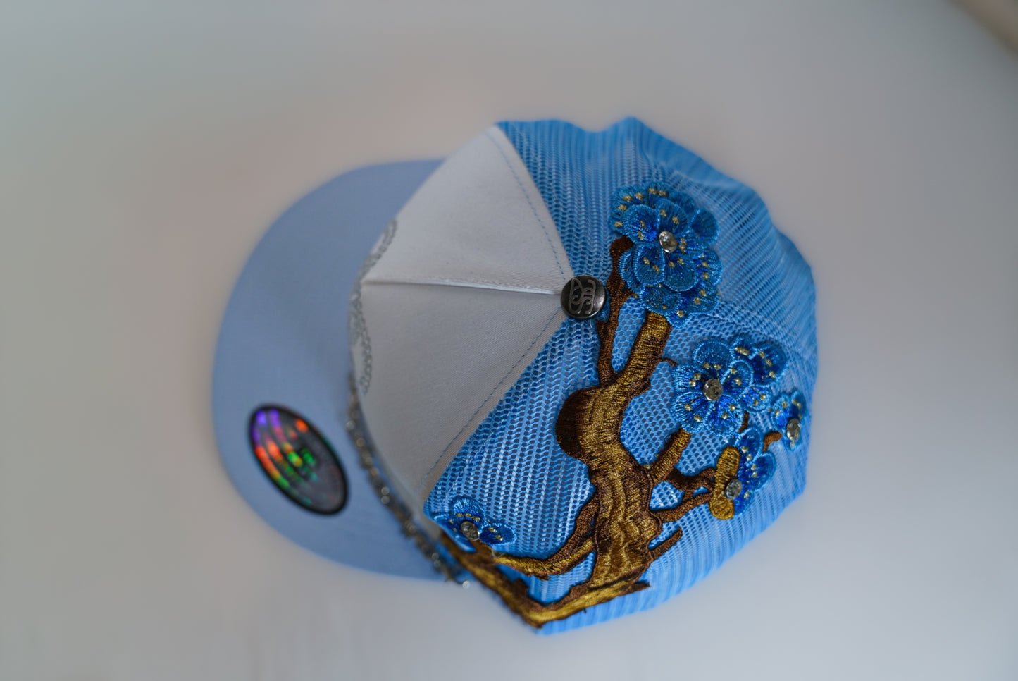 2SS-Caps